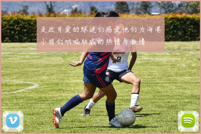 走近可爱的球迷们感受他们为海港小将们呐喊助威的热情与激情