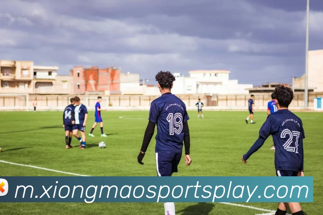 熊猫体育发展历程