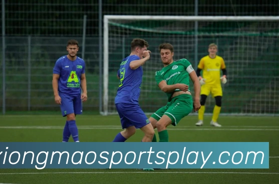 切尔西获格伊四十万分成相当于斯特林九天工资被弃用的代价